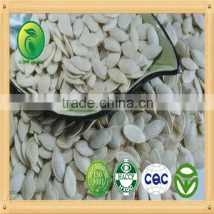 Shine Skin Pumpkin Seeds Raw Material for Roast and Salted thumbnail-1
