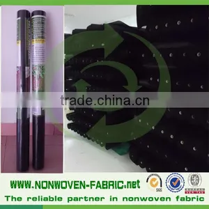 Agriculture Biodegradable PP Spunbond Nonwoven Fabric Garden Fleece/ Weed Control/ Ground Cover thumbnail-5