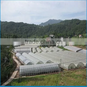 Large Single Span Flower,vegetable,tomato Commercial Greenhouses in Nigeria thumbnail-3