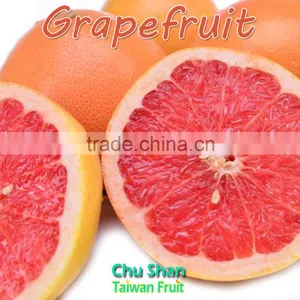 Fresh Grapefruit Best Price thumbnail-4