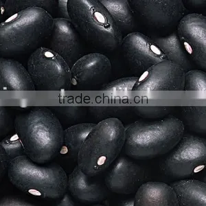 Supply Black Beans With Best Price and Good Quality for Sale thumbnail-3