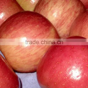 2015 Chinese Fresh Sweet Fuji Apple With Good Quality thumbnail-4