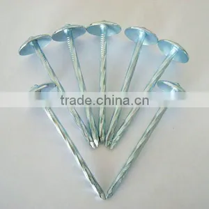 9BWG 2.5" Twist Roofing Nail thumbnail-1