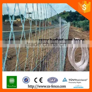 Fence Wall Plastic Bird Spikes Strip Anti Climb Spikes thumbnail-3