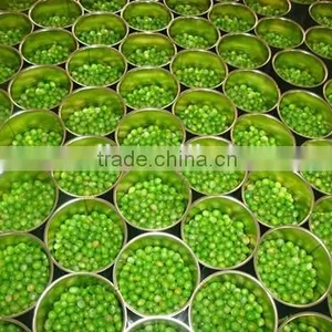 Canned Green Peas thumbnail-5