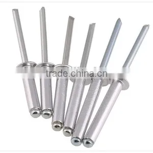 Rivet/blind Rivet/stainless Steel Blind Rivet thumbnail-3