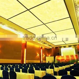 Hotel/Guestroom/Exhibition Large Space Ceiling PVC Printed Ceiling Film thumbnail-2