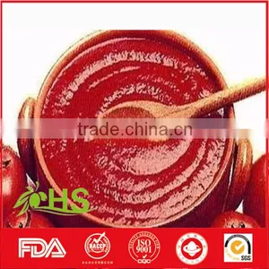 Tomato Paste in Cans and Drum thumbnail-2