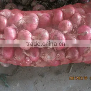 Red Onions Packing Small Size Red Onion thumbnail-1