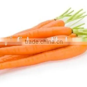 2015 Fresh China Carrot Harvester Sale thumbnail-1