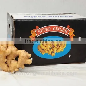 CHINESE FRESH GINGER thumbnail-1