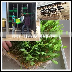 Automatic 500kg per Day Cattle Green Fodder Growing Machine thumbnail-1