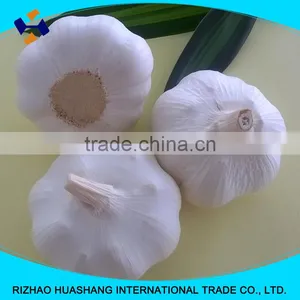 Pure White Fresh Garlic Size6.0cm thumbnail-5