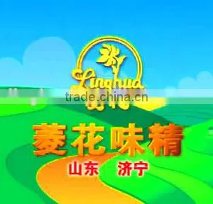Chinese Seasoning Manufacturer Produce Msg Products thumbnail-2
