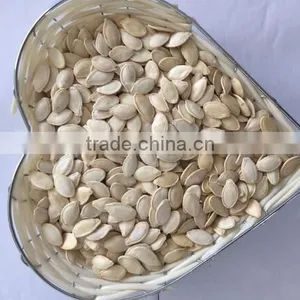 White Pumkin Seeds Shine Skin for Southeast Market thumbnail-3
