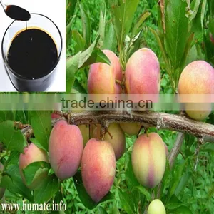 Brands of Organic Fertilizer Amino Acid Liquid thumbnail-4