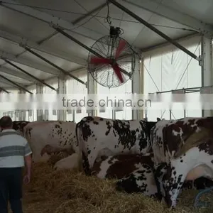 Cow Fan/hanging Fan/dairy Fan/dairy House Fan/cow House Fan thumbnail-2