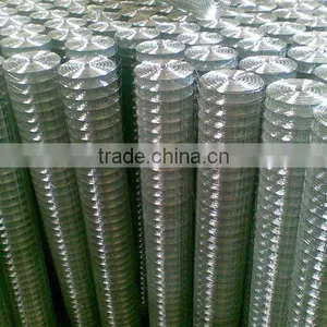 Galvanized Welded Wire Mesh thumbnail-1