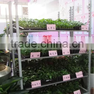 A11 Low Noise Pot Plant and Flower Danish Trolley Carts thumbnail-3