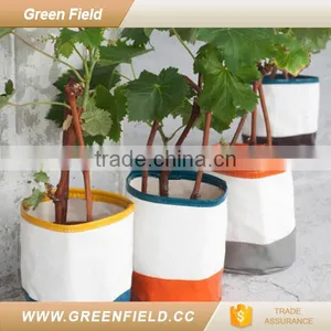 Canvas Plant Pot Home Garden Growing Pot thumbnail-1