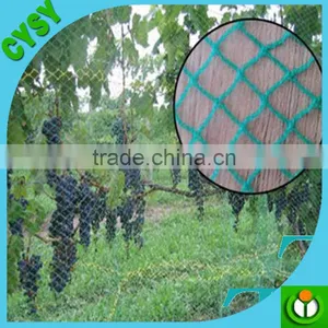 High Quality With Low Price Anti-Bird Net thumbnail-3