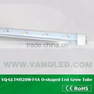 20W Red Blue Led Grow Light Tube T8 Innovative Lighting thumbnail-1