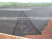 Shade Net thumbnail-1