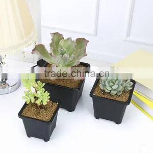 European Sqaure Pot thumbnail-4