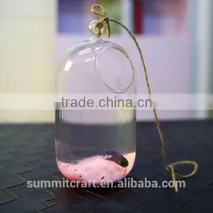 Transparent Flower Glass Vase Anique Hanging Glass Vase thumbnail-4