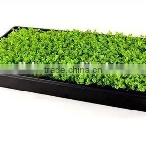 Customed Commerical Plastic Tray for Hydroponic Systems thumbnail-1