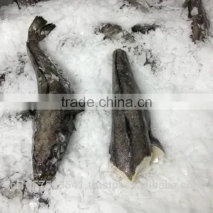 Patagonian Toothfish or Real Chilean Seabass thumbnail-6