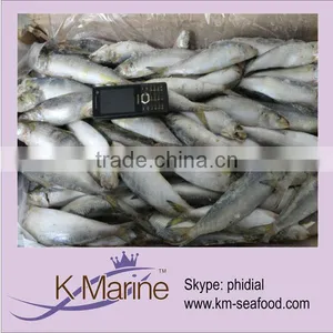 WR Pacific Sardines Seafood Fish thumbnail-1