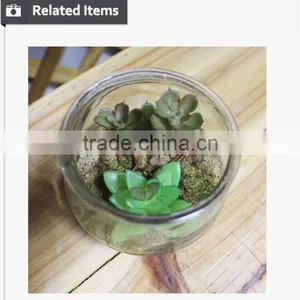 Artificial Succulents Artificial Mini Succulents Artificial Succulents Wholesale thumbnail-6
