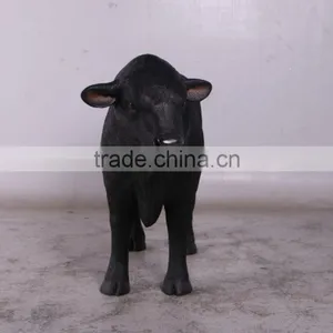 Definitive Angus Looking Left thumbnail-3