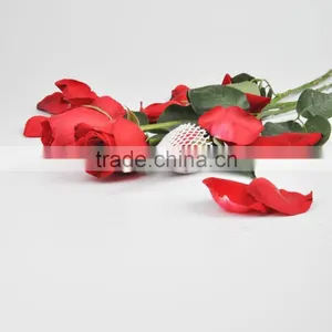 SGS Certificate Flower Bud Protective Sleeve Netting thumbnail-6