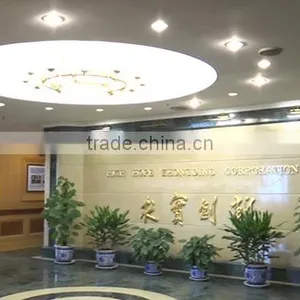 High Hope Zhongding Corporation company overview - view 1 thumbnail