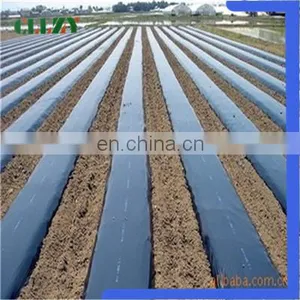 Good Selling Pla Biodegradable Material in China Factory thumbnail-5
