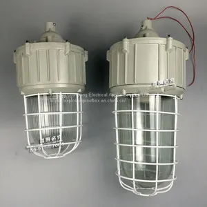 Integrated Explosion-proof Lamp Explosion-proof Bend Lamp 175W Explosion-proof Metal Halide Lamp Ccd92-l175b1z thumbnail-1