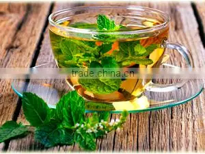 Premium Healthy Green Tea Suppliers thumbnail-1