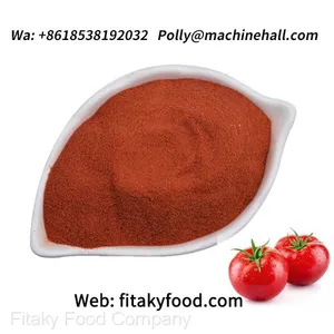 Organic Tomato Powder Wholesale Price With Halal Certification thumbnail-1