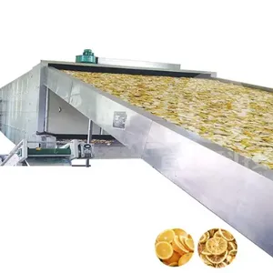 Genyond Machine Dried Lemon Mango Orange Continuous Belt Conveyor Tunnel Drying Machine on Sale thumbnail-1