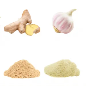 Banana/plantain Ground Powder Production Line thumbnail-2