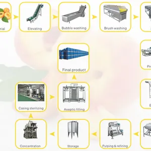 Juicer Fruit Juice Extracting Nama Cold Press Banana Juice Extraction Machine Machine De Production De Jus De Fruits Extractor thumbnail-4