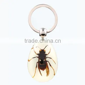 2016 New Spide Keychain With Real Insect thumbnail-3