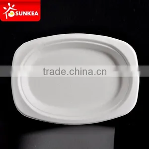 Biodegradable Disposable Bamboo Pulp Round Food Plate Quality Choice thumbnail-2