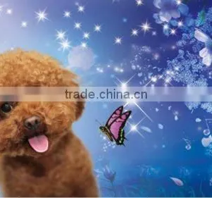 2012 Promotional Animation 3d Bookmark thumbnail-1