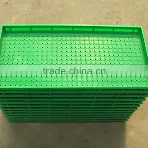 Rice Seeds Nursery Tray thumbnail-1