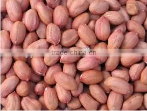 Peanut Snacks thumbnail-1