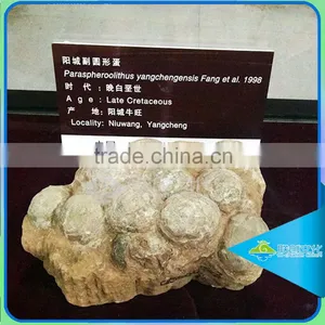 Lifesize Dinosaur Eggs Fossils for Museum thumbnail-1