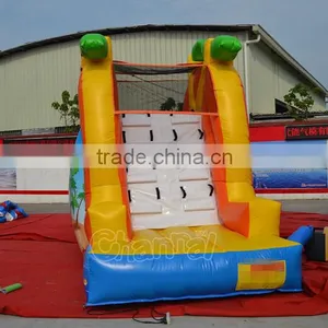 Mermaid Beach Water Slide Inflatable Backyard Water Slides for Kids thumbnail-4